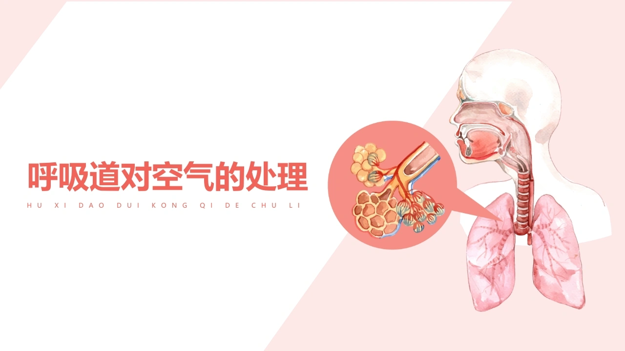 呼吸道对空气的处理-医护课栈