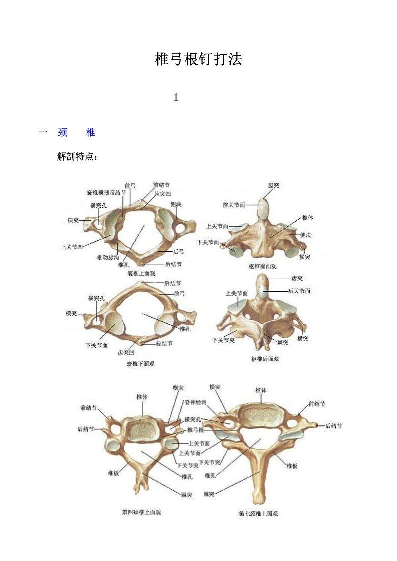 最全面的椎弓根钉打法-医护课栈