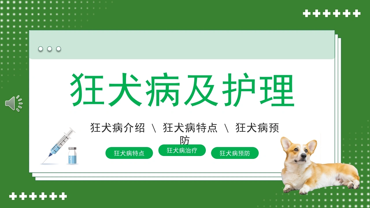 狂犬病介绍预防课件PPT-医护课栈