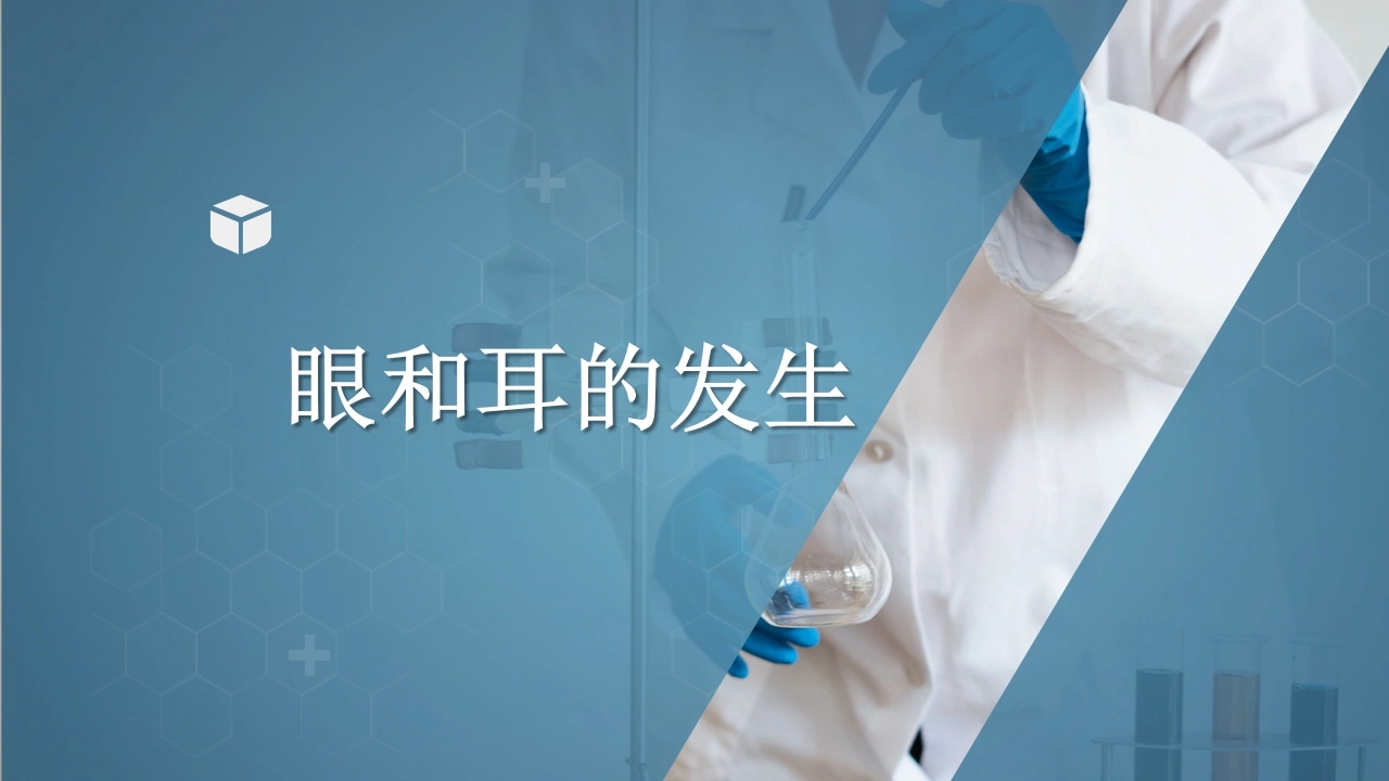 眼和耳的发生-医护课栈