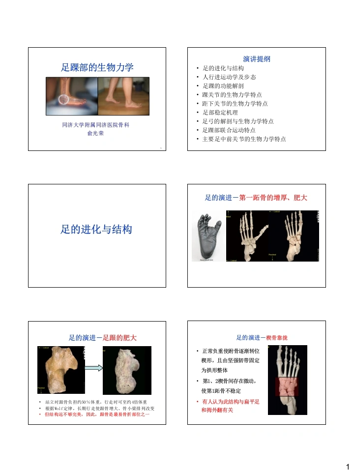 足踝生物力学-医护课栈